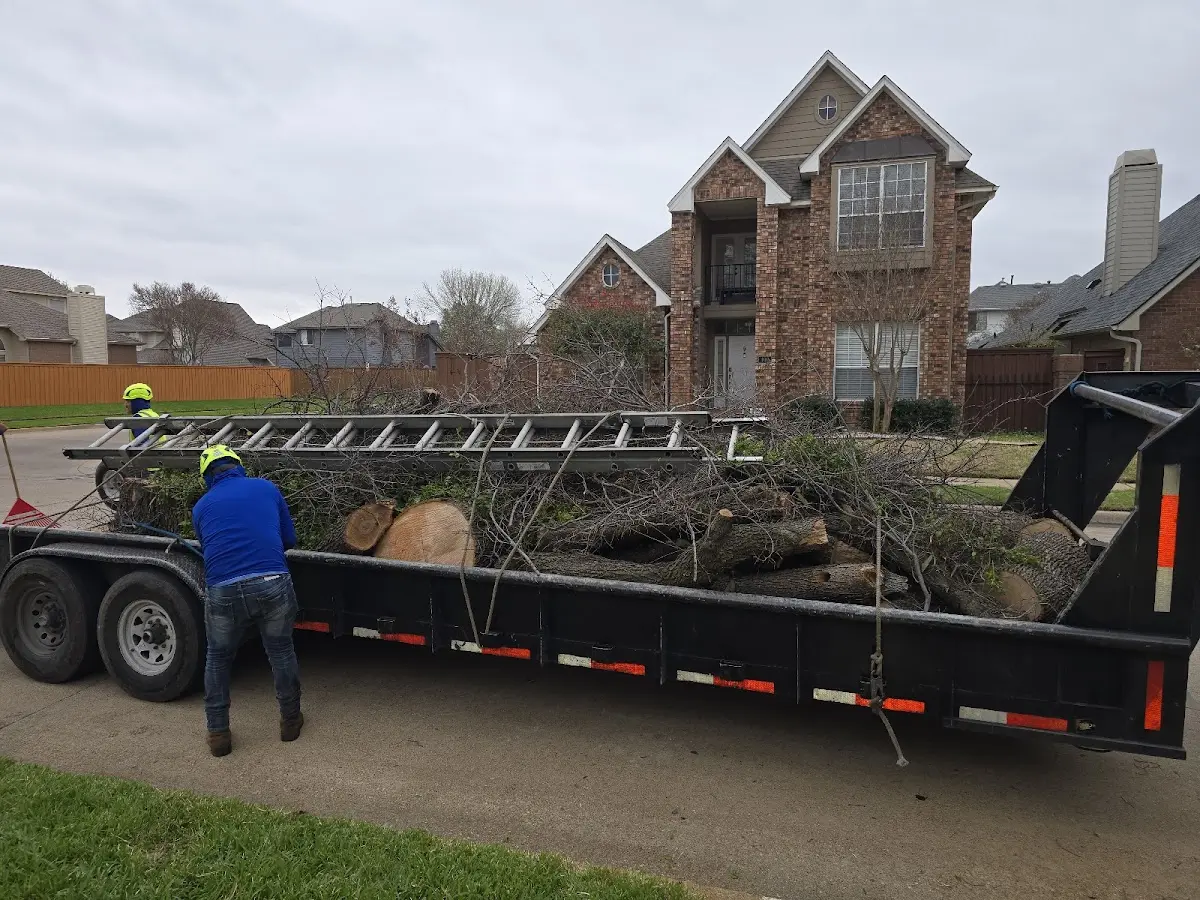 Expert Tree Fertilization with proper safety equipment in Bonnyman
